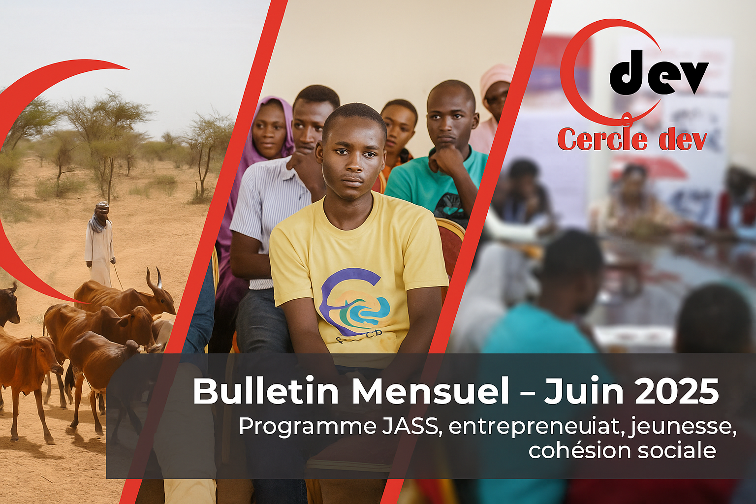 Lire la suite à propos de l’article Publication du bulletin mensuel de juin 2025